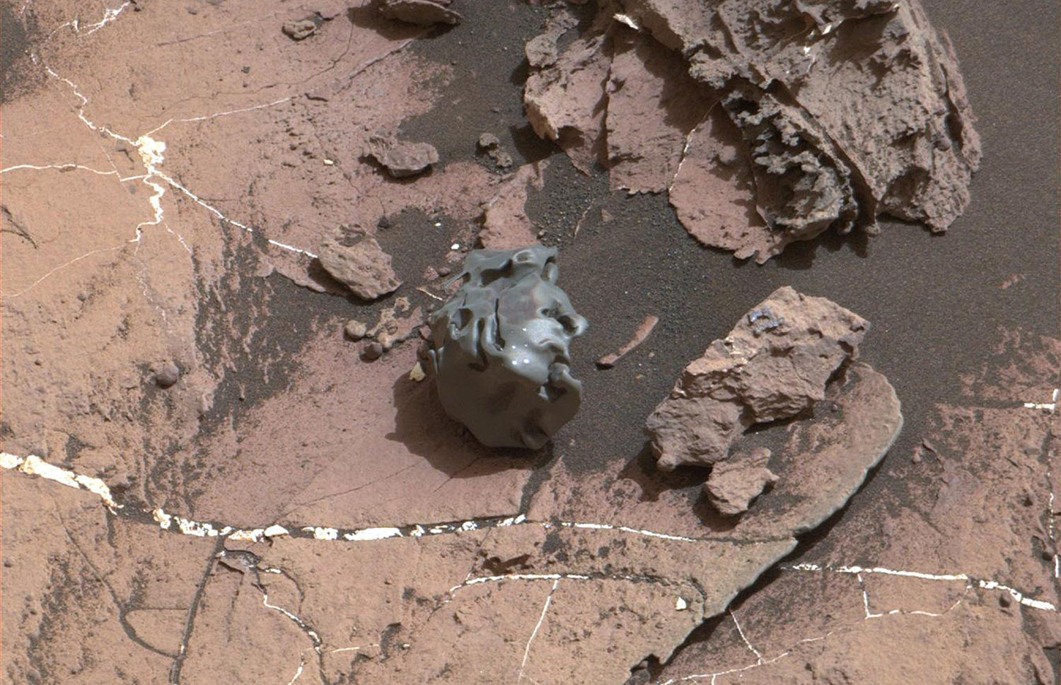 The dark, smooth-surfaced object at the center of this Oct. 30, 2016, image from the Mast Camera (Mastcam) on NASA's Curiosity Mars rover was examined with laser pulses and confirmed to be an iron-nickel meteorite.

The grid of shiny points visible on the object resulted from that laser zapping by Curiosity's Chemistry and Camera (ChemCam) instrument.

The meteorite is about the size of a golf ball. It is informally named "Egg Rock," for a site in Maine. Locations around Bar Harbor, Maine, are the naming theme for an area on Mars' Mount Sharp that Curiosity reached in October.

Iron-nickel meteorites are a common class of space rocks found on Earth, and previous examples have been found on Mars, but Egg Rock is the first on Mars to be examined with a laser-firing spectrometer.

The scene is presented with a color adjustment that approximates white balancing, to resemble how the rocks and sand would appear under daytime lighting conditions on Earth. Figure 1 includes a scale bar of 5 centimeters (about 2 inches). (NASA/JPL-Caltech/MSSS)